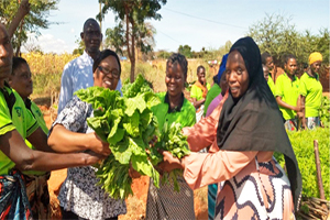 Mit nachhaltiger Landwirtschaft in Tansania zum Erfolg