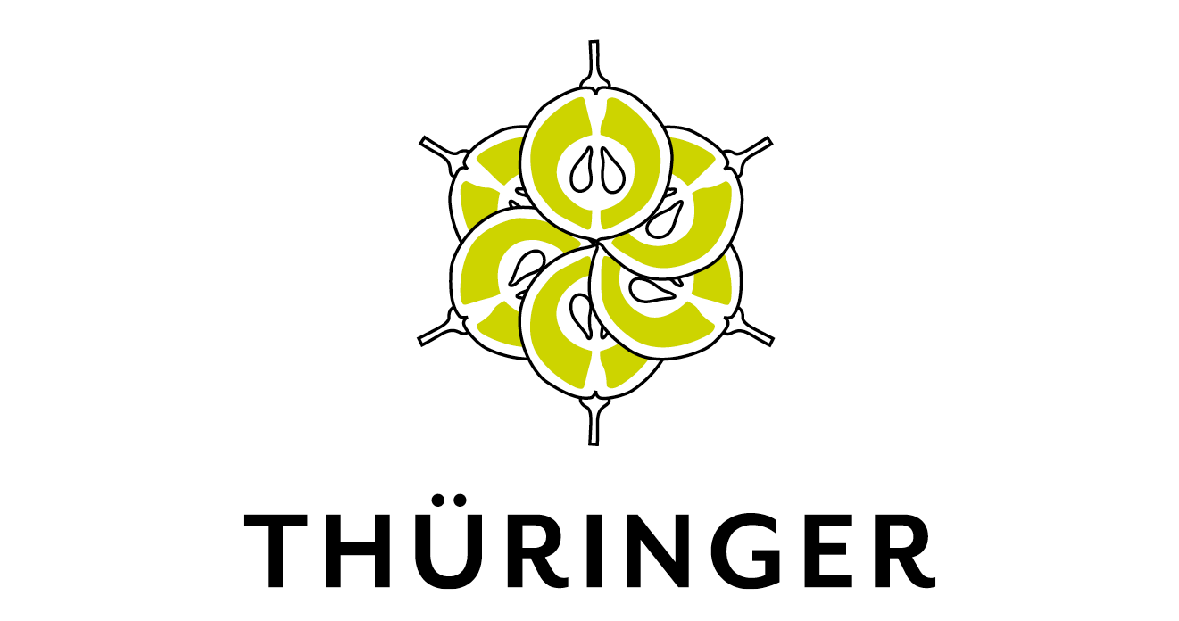 Logos8